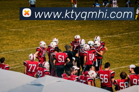 开云在线官方网站平台生态图